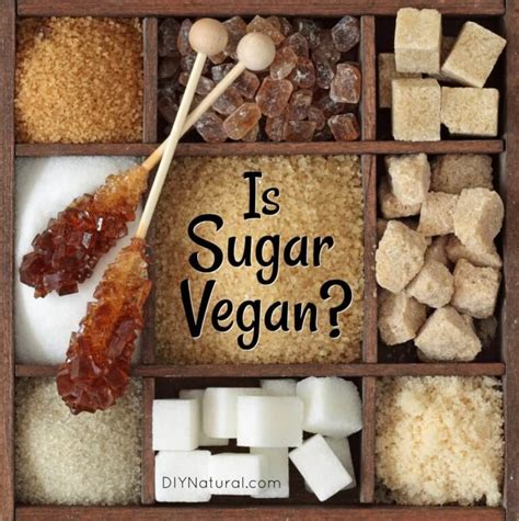 Why is white sugar not vegan